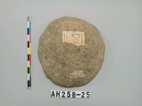 藏品(石蓋)的圖片